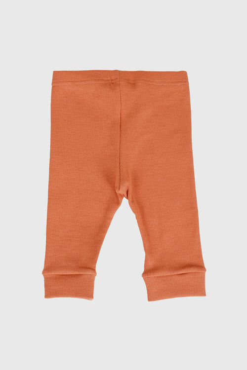 Leggings für Babys – Baumwolle - Armor-lux - 2