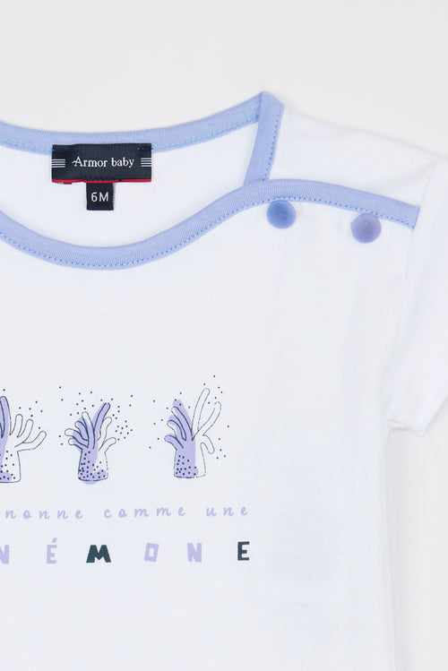 T-shirt Anémones Baby- coton léger - Armor-lux - 2