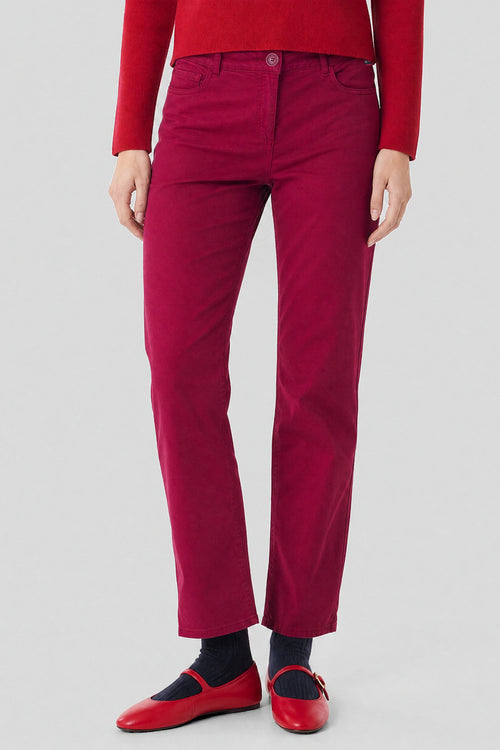 Taylor straight trousers - cotton - Armor-lux - 2