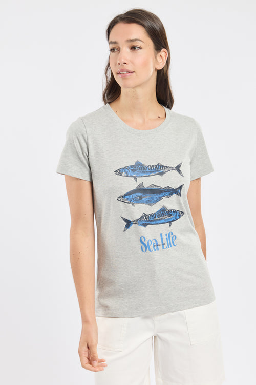 Printed T-shirt - cotton - Armor-lux - 4