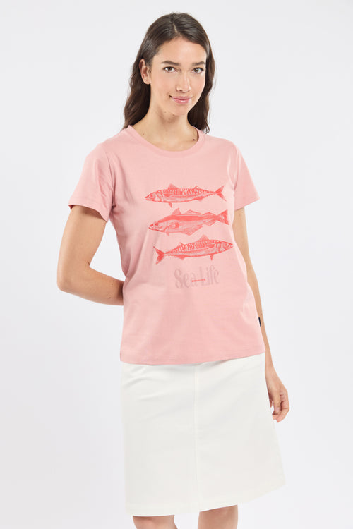 Printed T-shirt - cotton - Armor-lux - 4