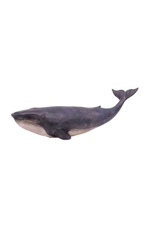 Baleine 80x27 cm - Armor-lux - 1