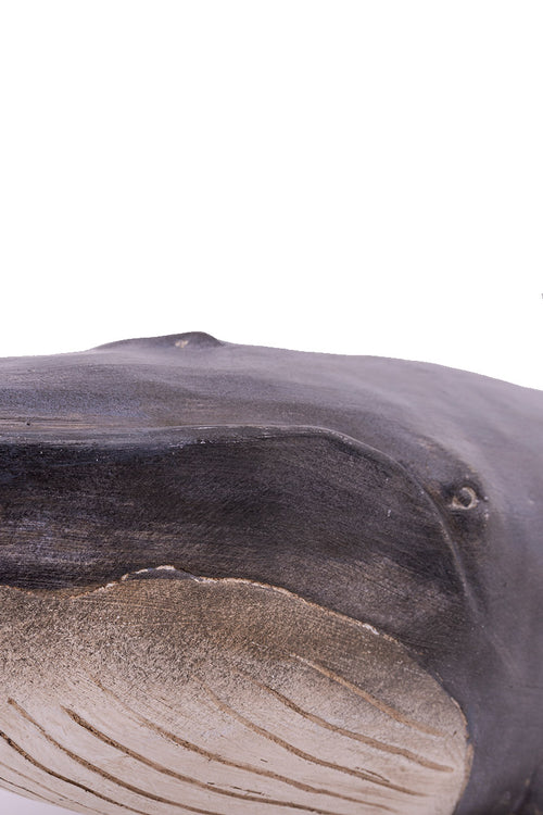 Baleine 80x27 cm - Armor-lux - 2