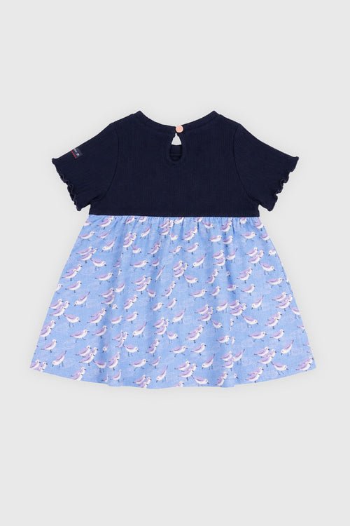 Baby Kleid - Baumwolle - Armor-lux - 2